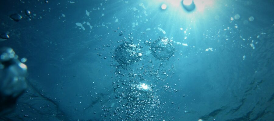 bubbles going upwards on a body of water